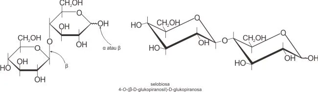 Struktur selobiosa